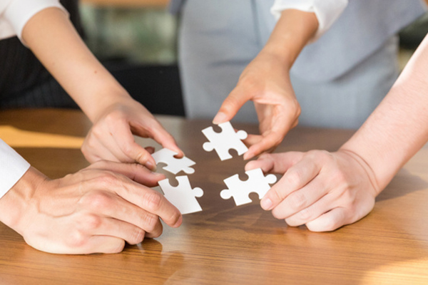 團隊風(fēng)采展示