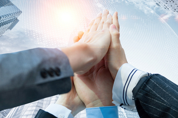 團隊風(fēng)采展示